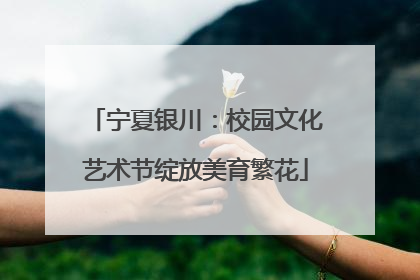 宁夏银川：校园文化艺术节绽放美育繁花