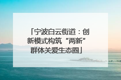 宁波白云街道：创新模式构筑“两新”群体关爱生态圈