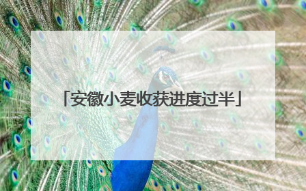 安徽小麦收获进度过半