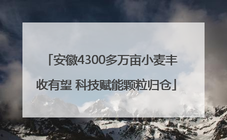 安徽4300多万亩小麦丰收有望 科技赋能颗粒归仓