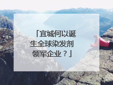 宜城何以诞生全球染发剂领军企业？