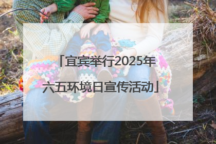 宜宾举行2025年六五环境日宣传活动