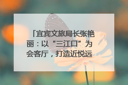 宜宾文旅局长张艳丽：以“三江口”为会客厅，打造近悦远来的国际旅游城市｜文旅局长说
