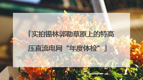 实拍锡林郭勒草原上的特高压直流电网“年度体检”