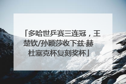 多哈世乒赛三连冠，王楚钦/孙颖莎收下兹·赫杜塞克杯复刻奖杯