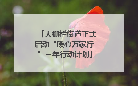 大栅栏街道正式启动“暖心万家行”三年行动计划