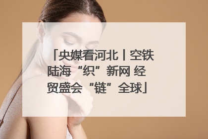 央媒看河北丨空铁陆海“织”新网 经贸盛会“链”全球