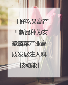 好吃又高产！新品种为安徽蔬菜产业高质发展注入科技动能