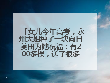 女儿今年高考，永州大姐种了一块向日葵田为她祝福：有200多棵，送了很多给其他家长