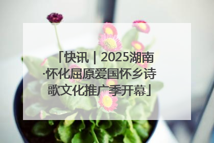 快讯｜2025湖南·怀化屈原爱国怀乡诗歌文化推广季开幕