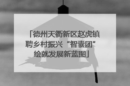 德州天衢新区赵虎镇聘乡村振兴“智囊团” 绘就发展新蓝图
