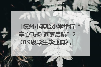 德州市实验小学举行“童心飞扬 逐梦启航”2019级学生毕业典礼