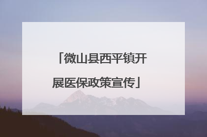 微山县西平镇开展医保政策宣传