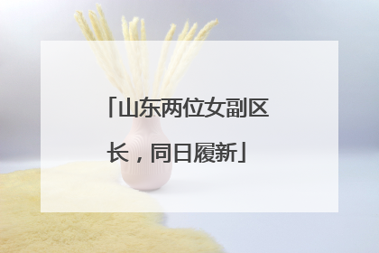 山东两位女副区长，同日履新