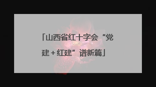 山西省红十字会“党建＋红建”谱新篇