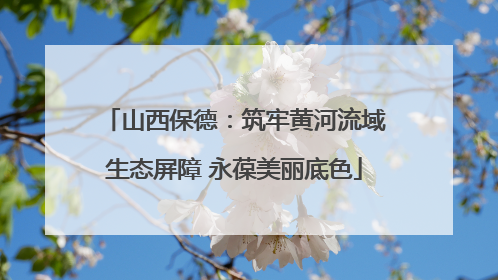 山西保德：筑牢黄河流域生态屏障 永葆美丽底色