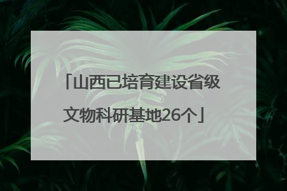 山西已培育建设省级文物科研基地26个