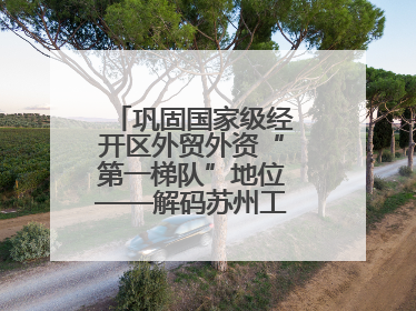 巩固国家级经开区外贸外资“第一梯队”地位——解码苏州工业园区样本