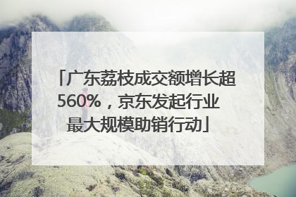 广东荔枝成交额增长超560%，京东发起行业最大规模助销行动
