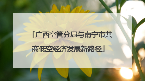 广西空管分局与南宁市共商低空经济发展新路径