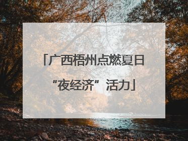 广西梧州点燃夏日“夜经济”活力