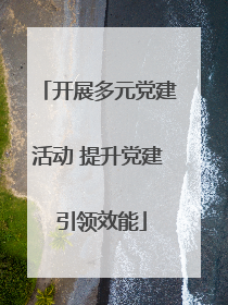 开展多元党建活动 提升党建 引领效能