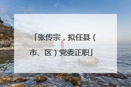 张传宗，拟任县（市、区）党委正职