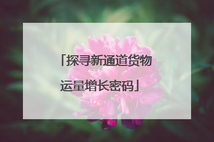 探寻新通道货物运量增长密码