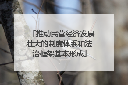 推动民营经济发展壮大的制度体系和法治框架基本形成