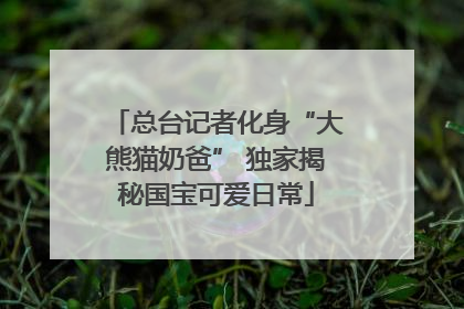 总台记者化身“大熊猫奶爸” 独家揭秘国宝可爱日常