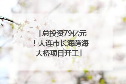 总投资79亿元！大连市长海跨海大桥项目开工