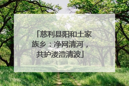 慈利县阳和土家族乡：净网清河，共护溇澧清波