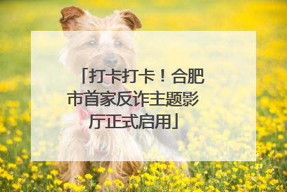 打卡打卡！合肥市首家反诈主题影厅正式启用
