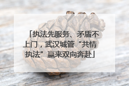 执法先服务、矛盾不上门，武汉城管“共情执法”赢来双向奔赴