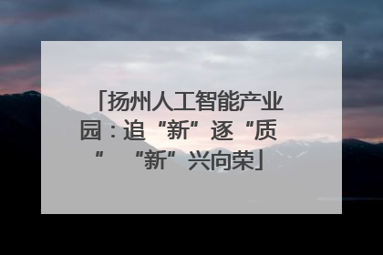 扬州人工智能产业园：追“新”逐“质” “新”兴向荣