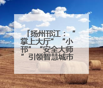 扬州邗江：“掌上大厅”“小邗”“安全大师”引领智慧城市建设