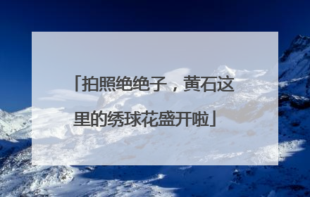 拍照绝绝子，黄石这里的绣球花盛开啦
