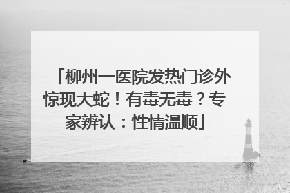 柳州一医院发热门诊外惊现大蛇！有毒无毒？专家辨认：性情温顺