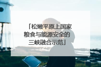 松嫩平原上国家粮食与能源安全的三峡融合示范