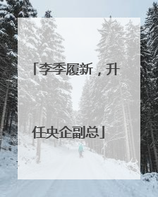 李季履新，升任央企副总