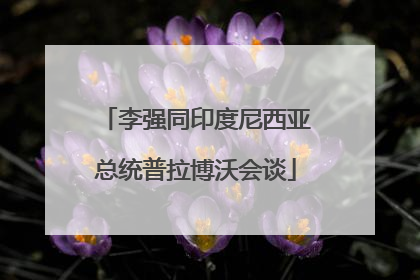 李强同印度尼西亚总统普拉博沃会谈