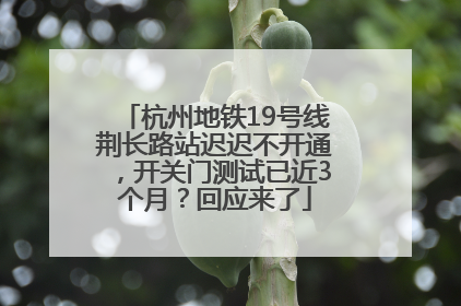 杭州地铁19号线荆长路站迟迟不开通，开关门测试已近3个月？回应来了