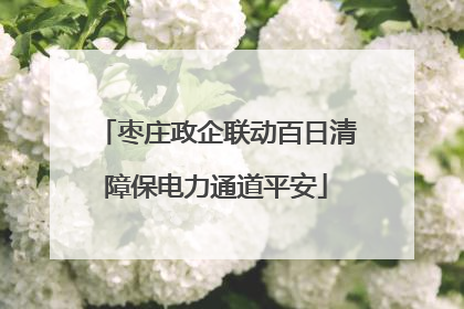 枣庄政企联动百日清障保电力通道平安