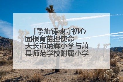 擎旗铸魂守初心 固根育苗担使命——天长市炳辉小学与萧县师范学校附属小学结对共建活动纪实