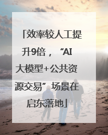 效率较人工提升9倍，“AI大模型+公共资源交易”场景在启东落地