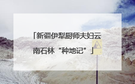 新疆伊犁厨师夫妇云南石林“种地记”