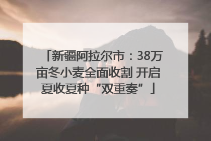 新疆阿拉尔市：38万亩冬小麦全面收割 开启夏收夏种“双重奏”