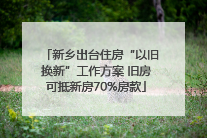 新乡出台住房“以旧换新”工作方案 旧房可抵新房70%房款