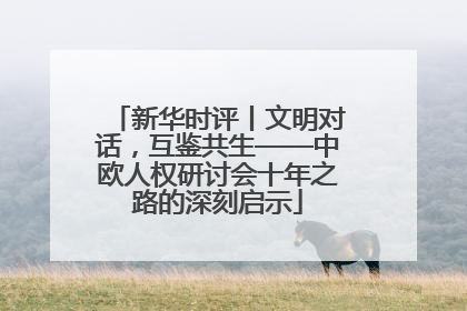 新华时评丨文明对话，互鉴共生——中欧人权研讨会十年之路的深刻启示