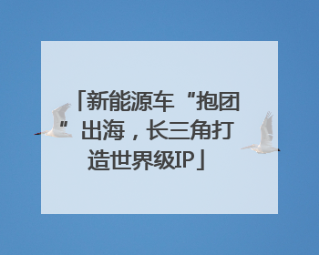 新能源车“抱团”出海，长三角打造世界级IP